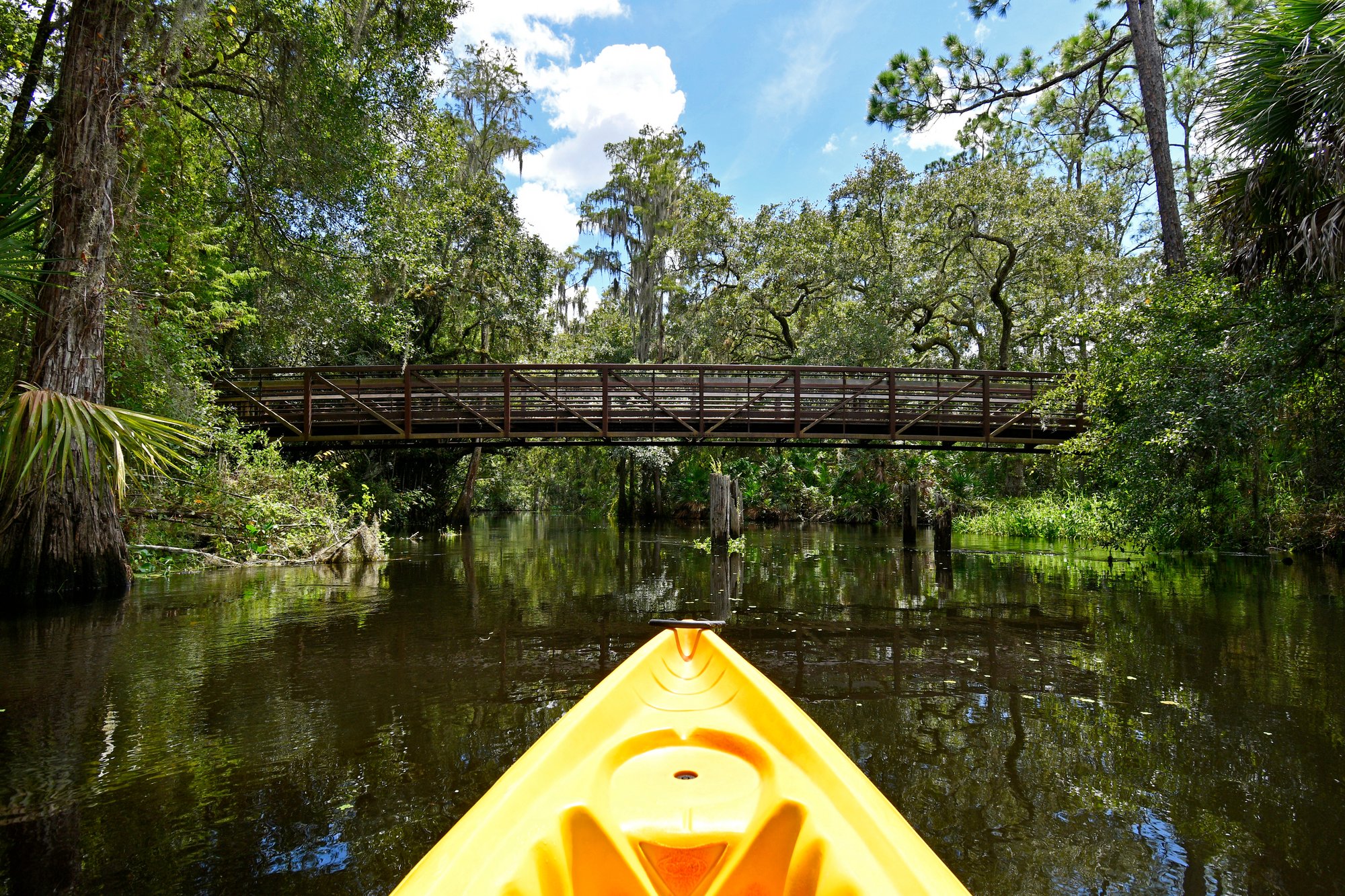 AdobeStock_526889882