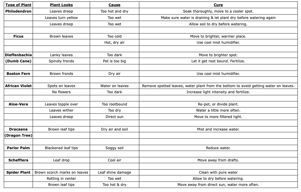 Screenshot 2024-07-23 at 4.55.22 PM