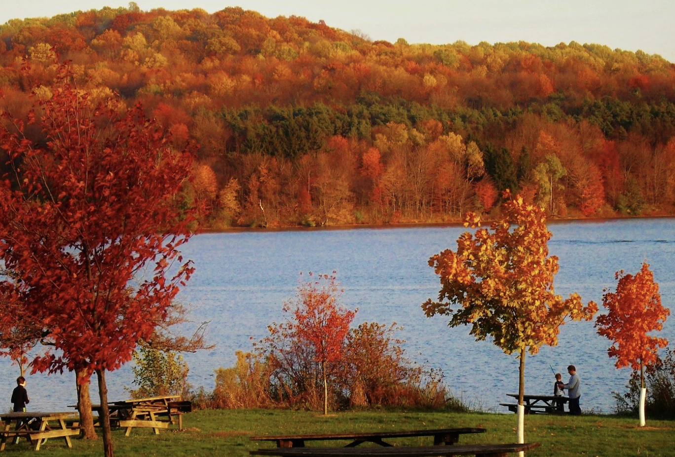 Screenshot 2025-04-25 at 10.56.00 AM